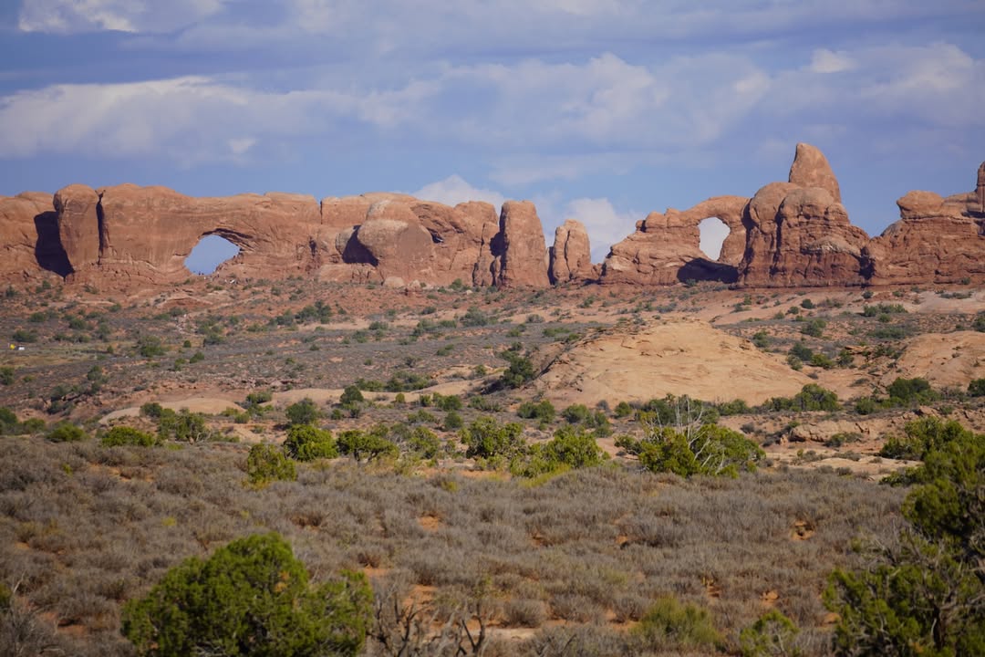Window Arches from afar