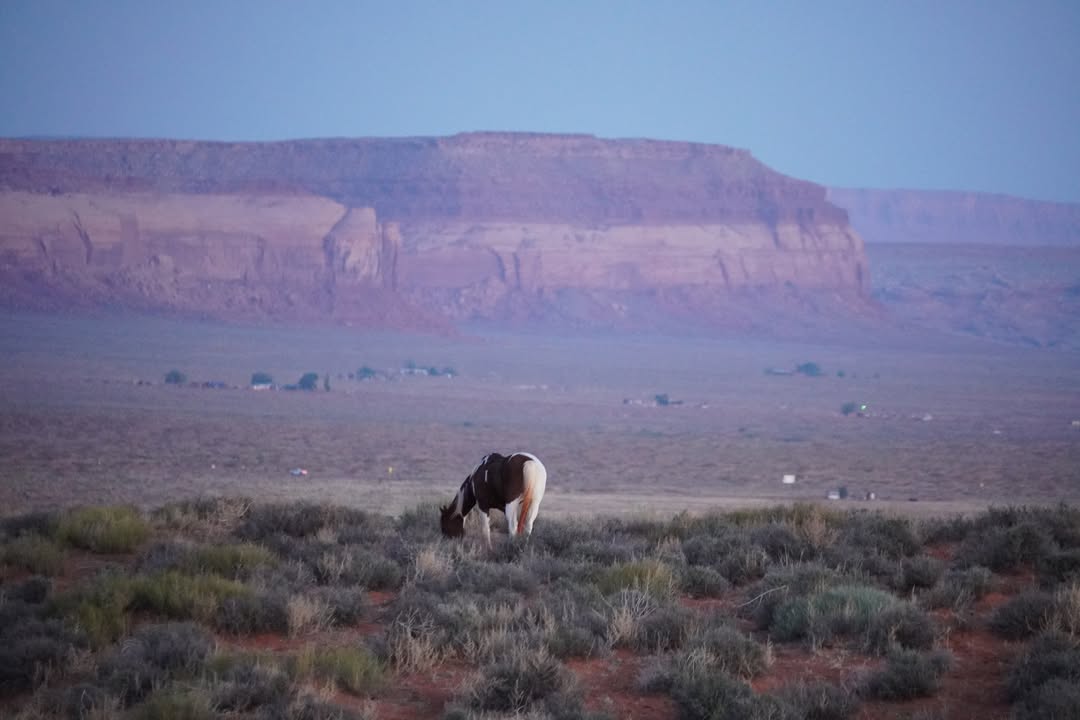 Late evening near Campsite
