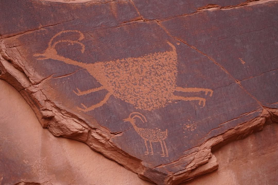 Petroglyphs on Guided Sunset Tour