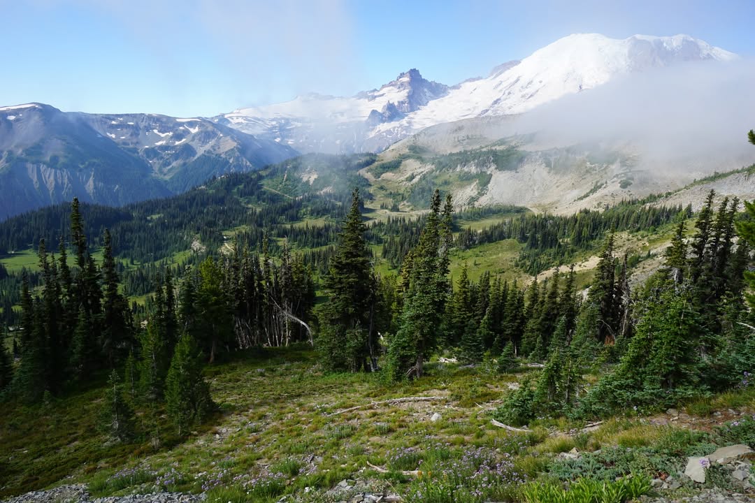 Mount Rainier National Park, WA