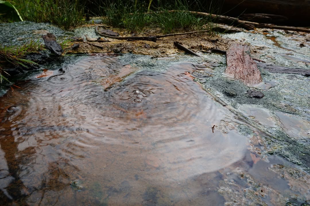Mount Rainier National Park, WA