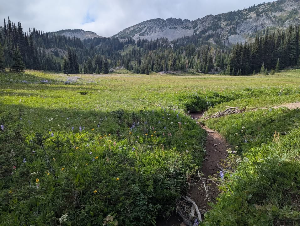 Burroughs Mountain Trail Near Trailhead