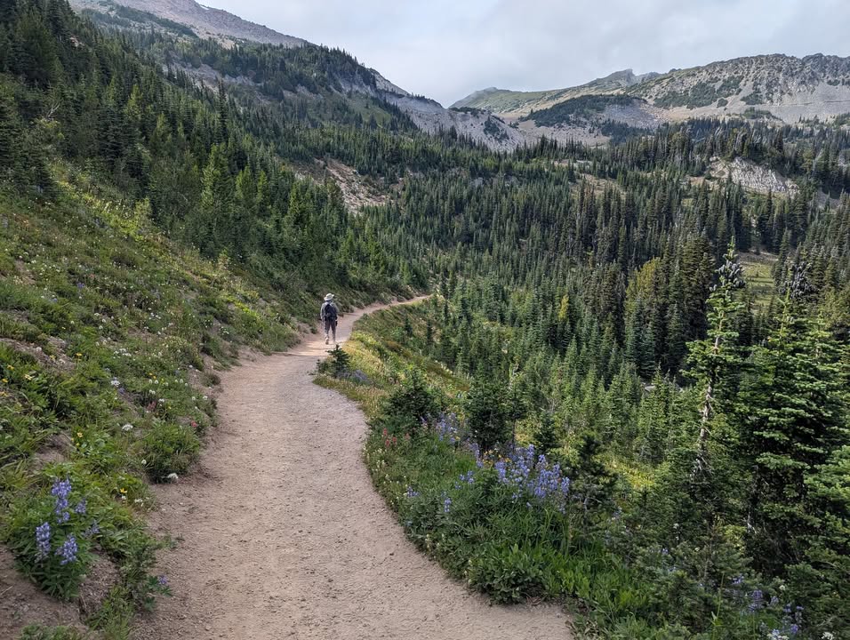 Burroughs Mountain Trail Return Trip
