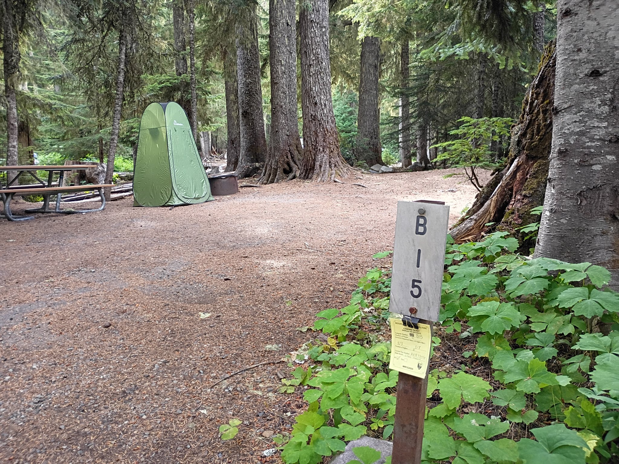 Campsite at White River Campground