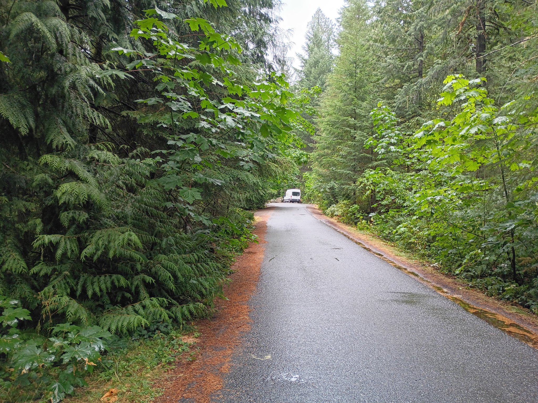 Long Straight FR-7300