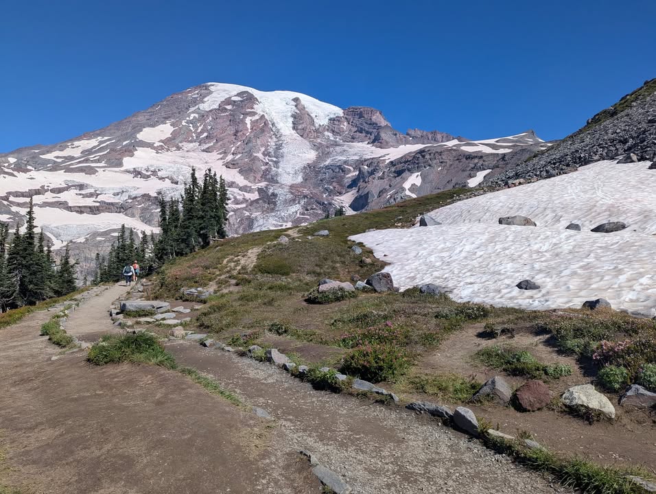 Skyline Trail with Rainier