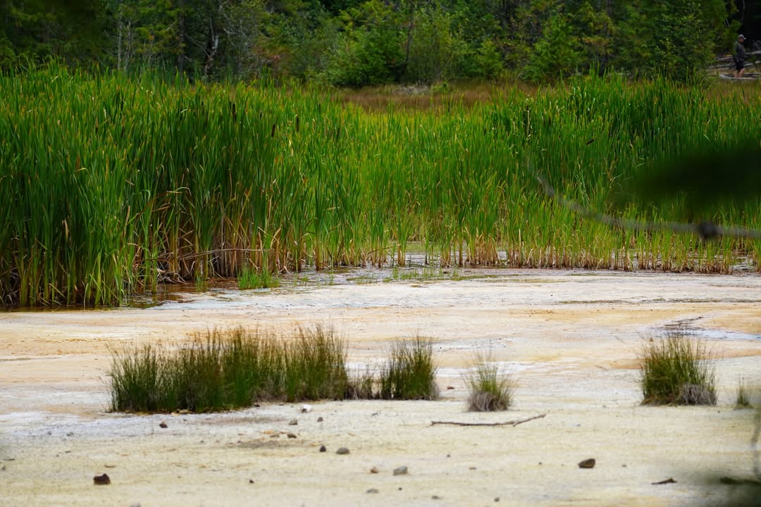 Trail of the Shadows