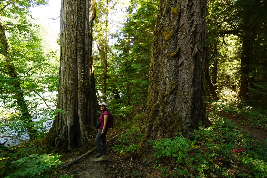North Cascades National Park, WA