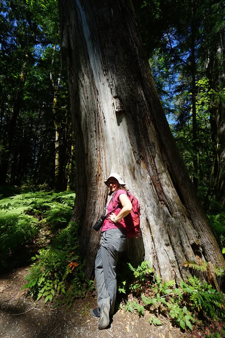 North Cascades National Park, WA