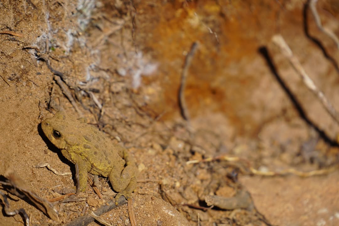 North Cascades National Park, WA