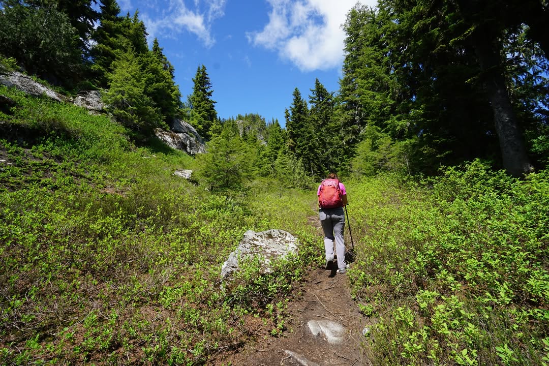 North Cascades National Park, WA