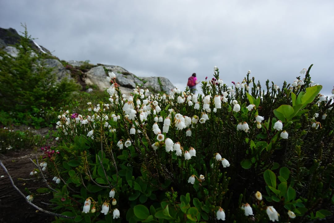 North Cascades National Park, WA