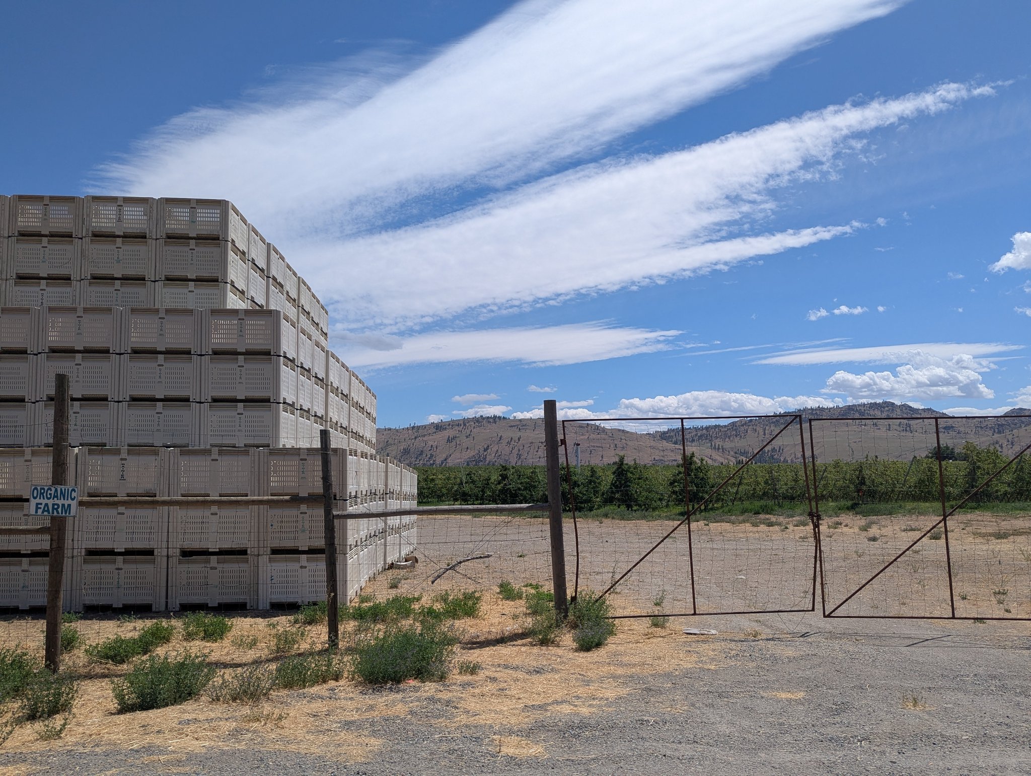 Apple Bins along Hwy 174