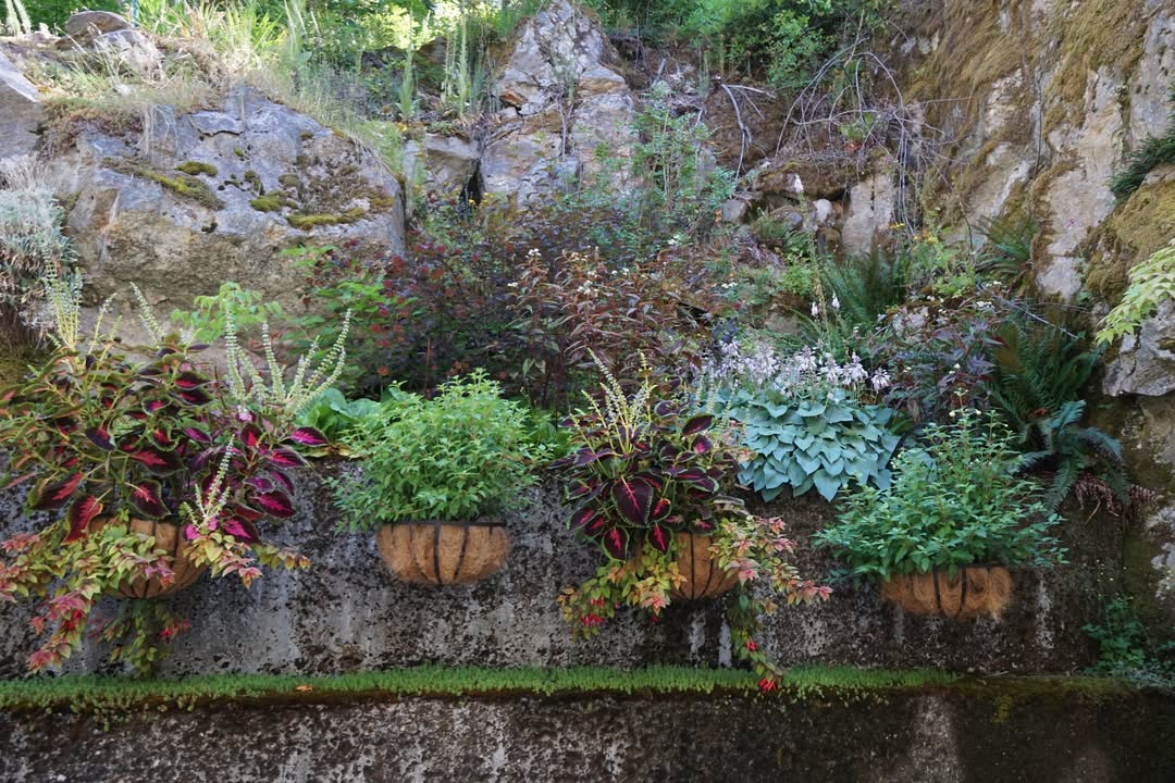 Ladder Creek Falls Trail