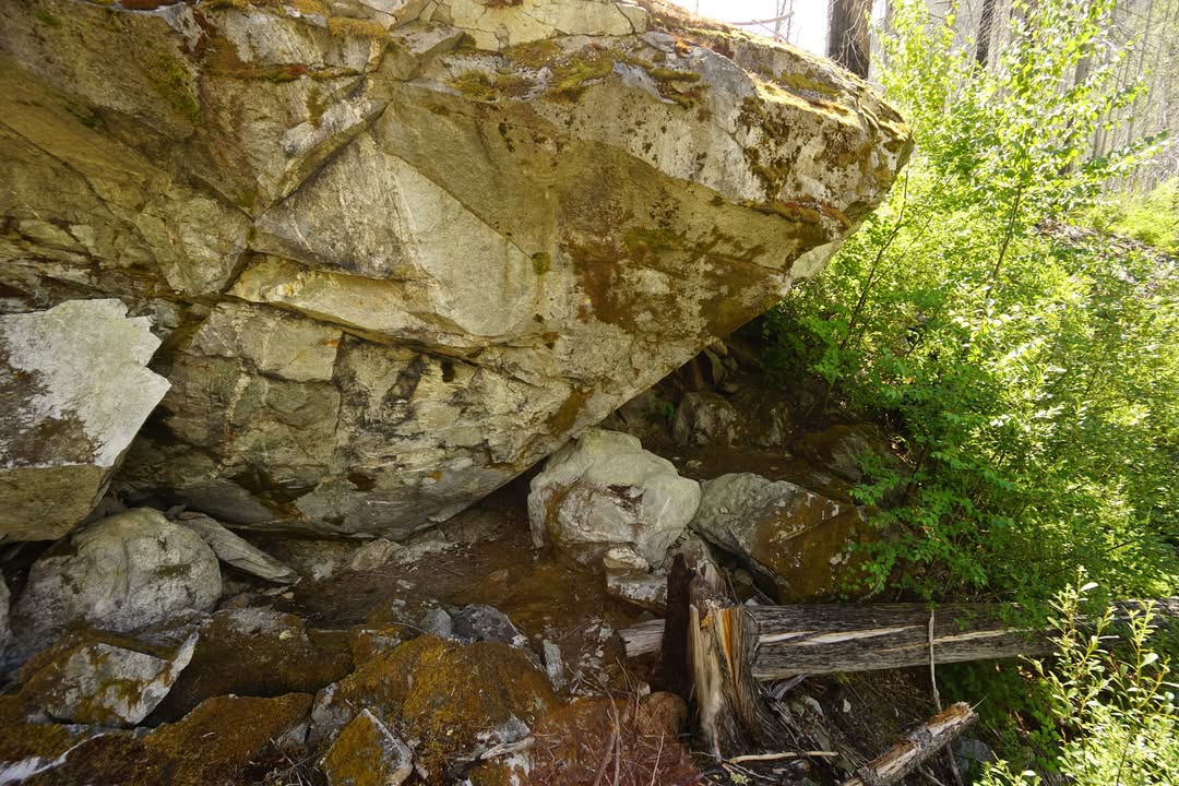 Rock Shelter