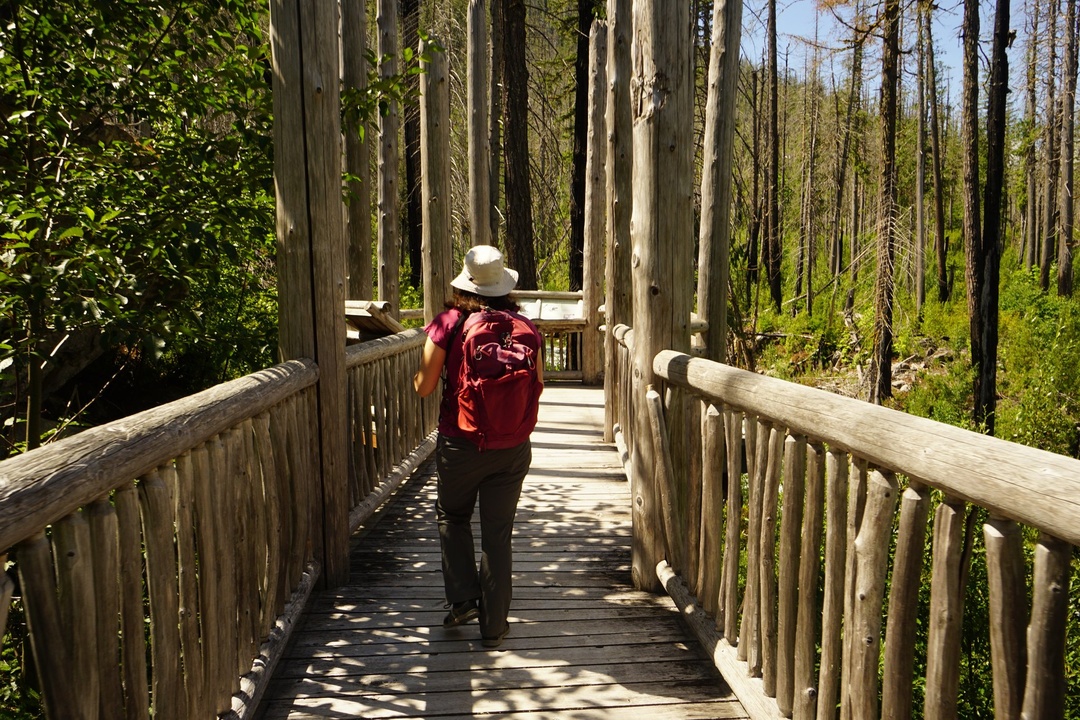Rock Shelter Viewing Deck