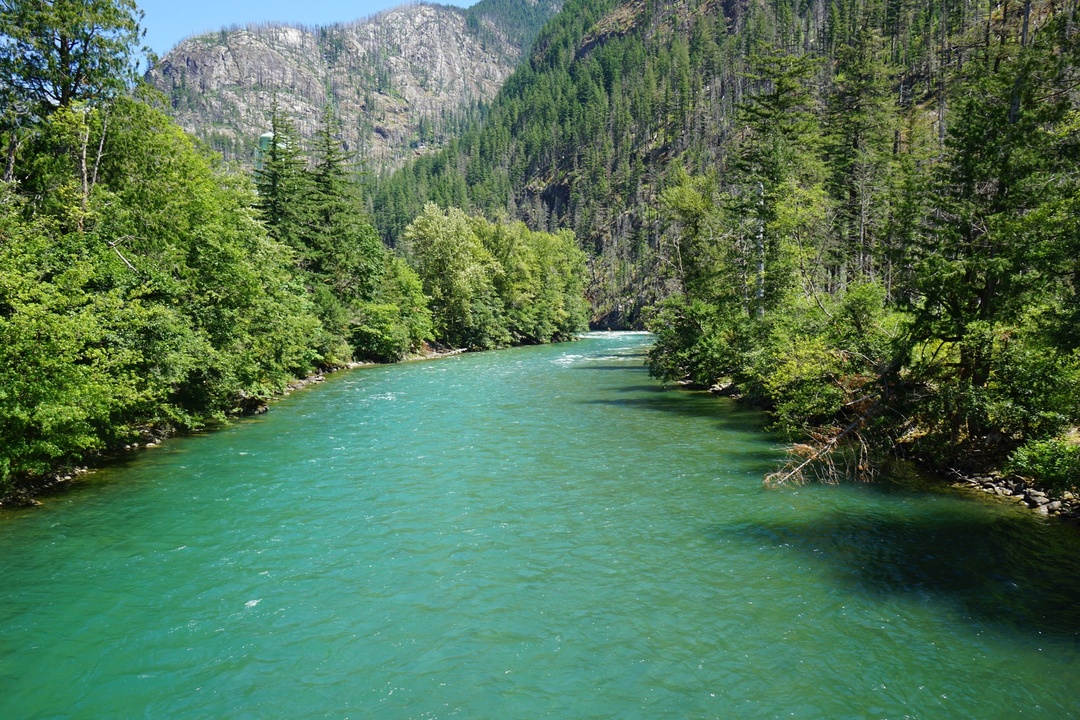 Skagit River from Trail of the Cedars Pedestrian Bridge