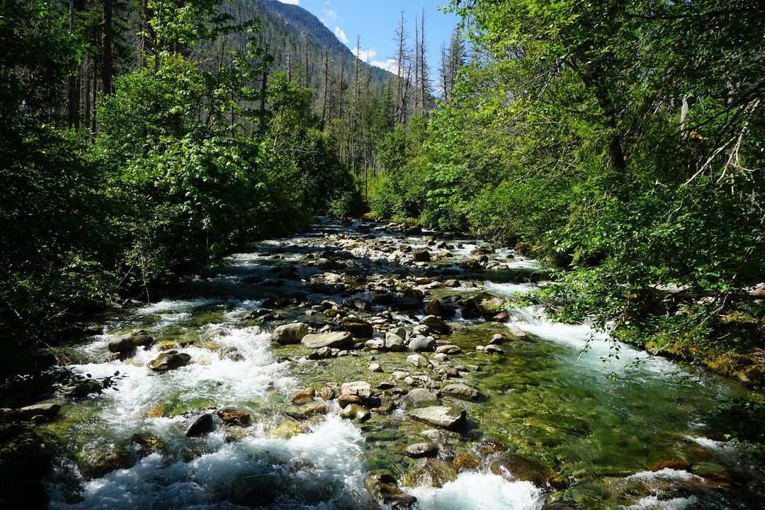 Skagit River in Newhalem Campground
