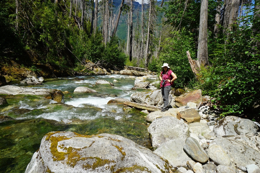 Skagit River on Rock Shelter Trail