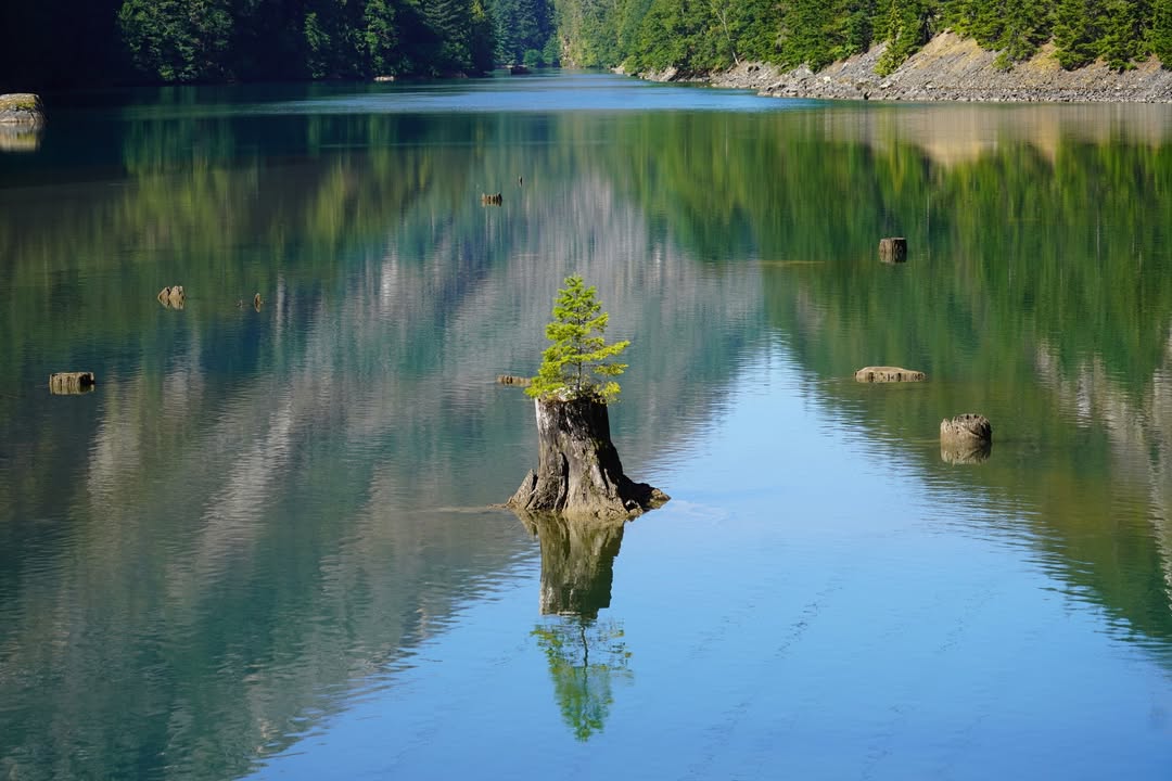 North Cascades National Park, WA