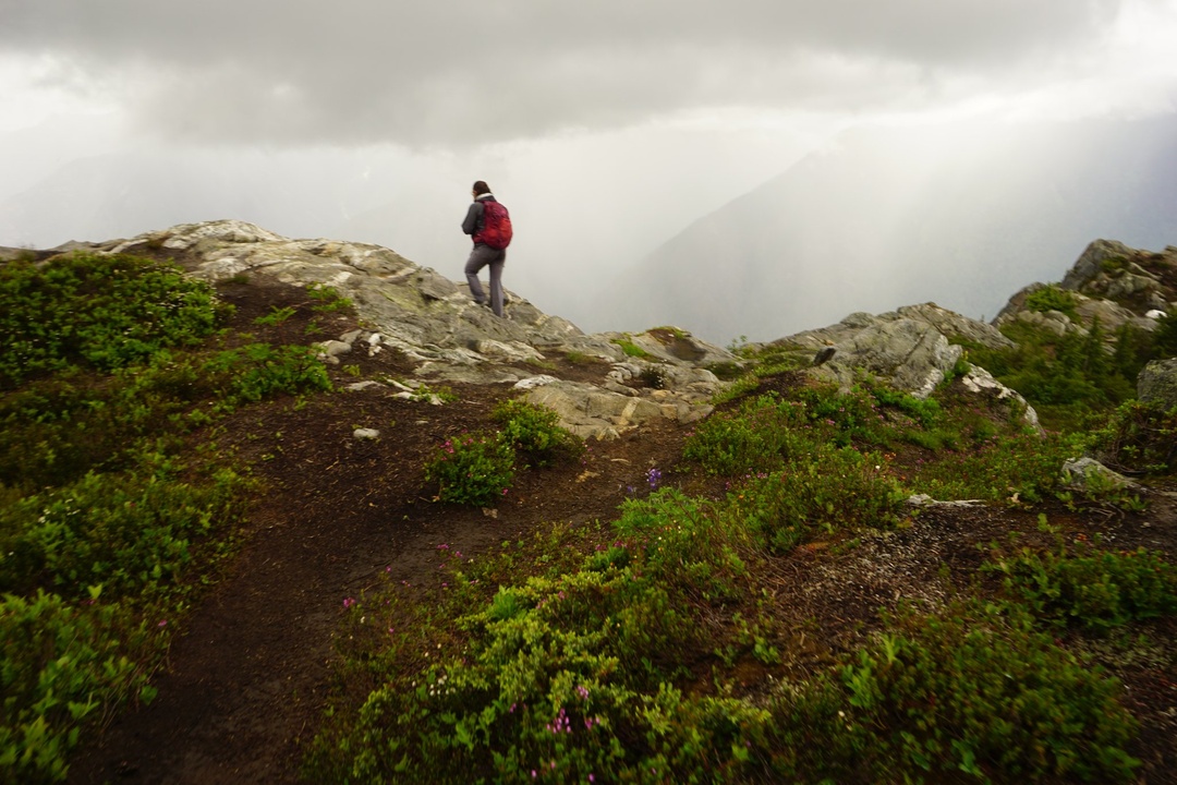 Trail to Trappers Peak