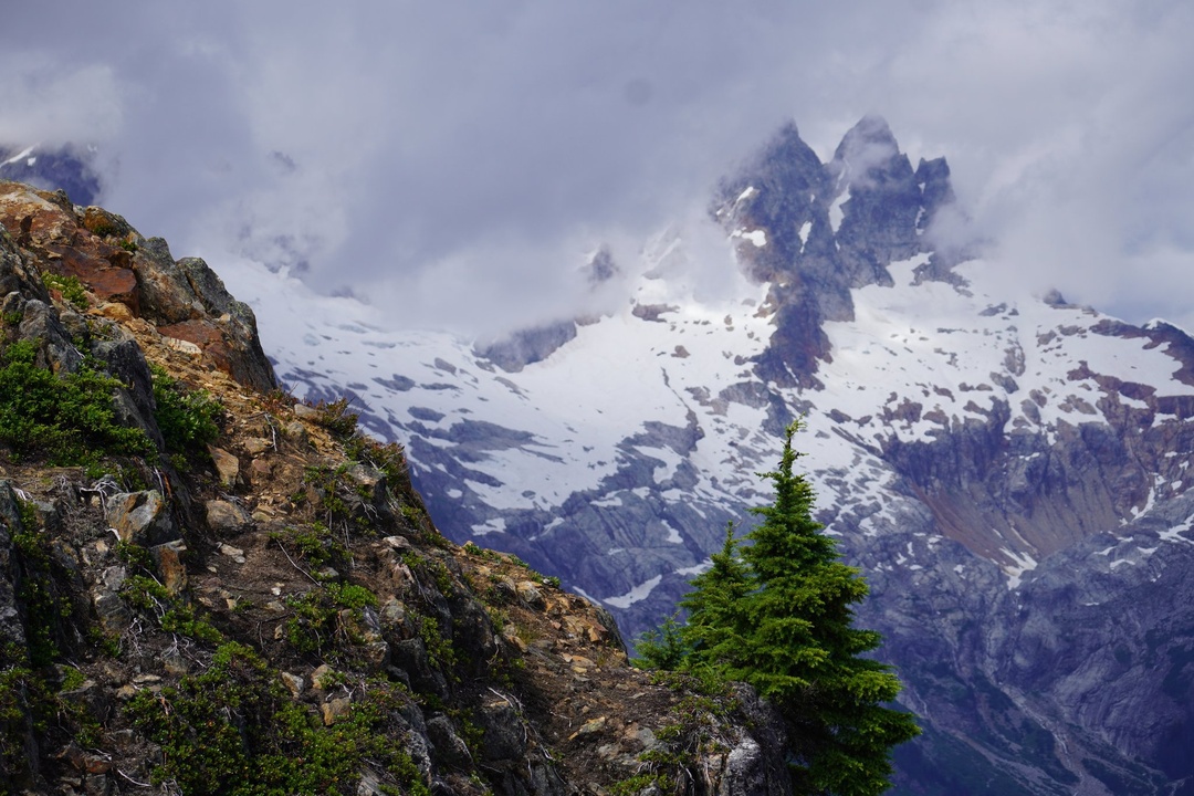 Views near Trappers Peak
