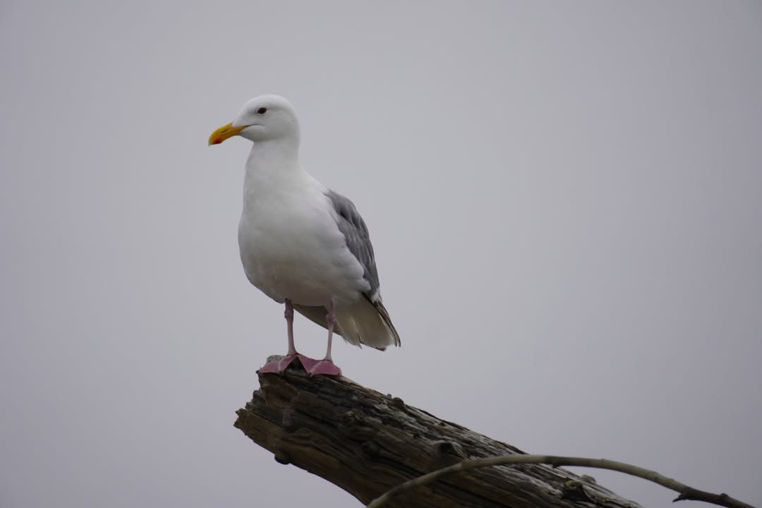 Olympic National Park, WA