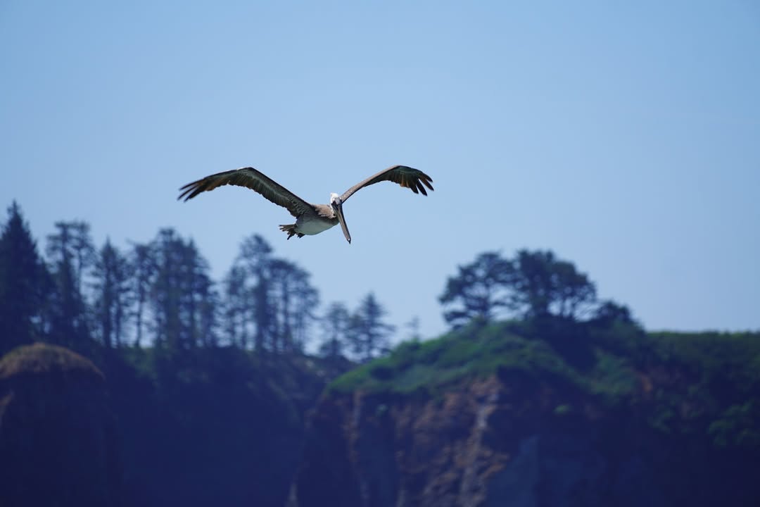 Olympic National Park, WA
