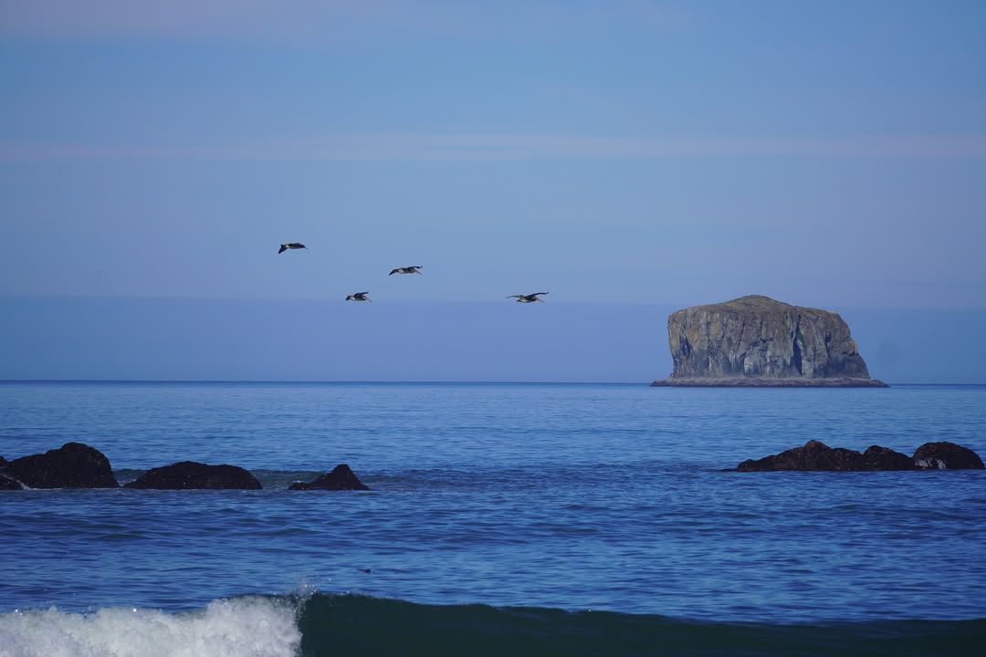 Olympic National Park, WA