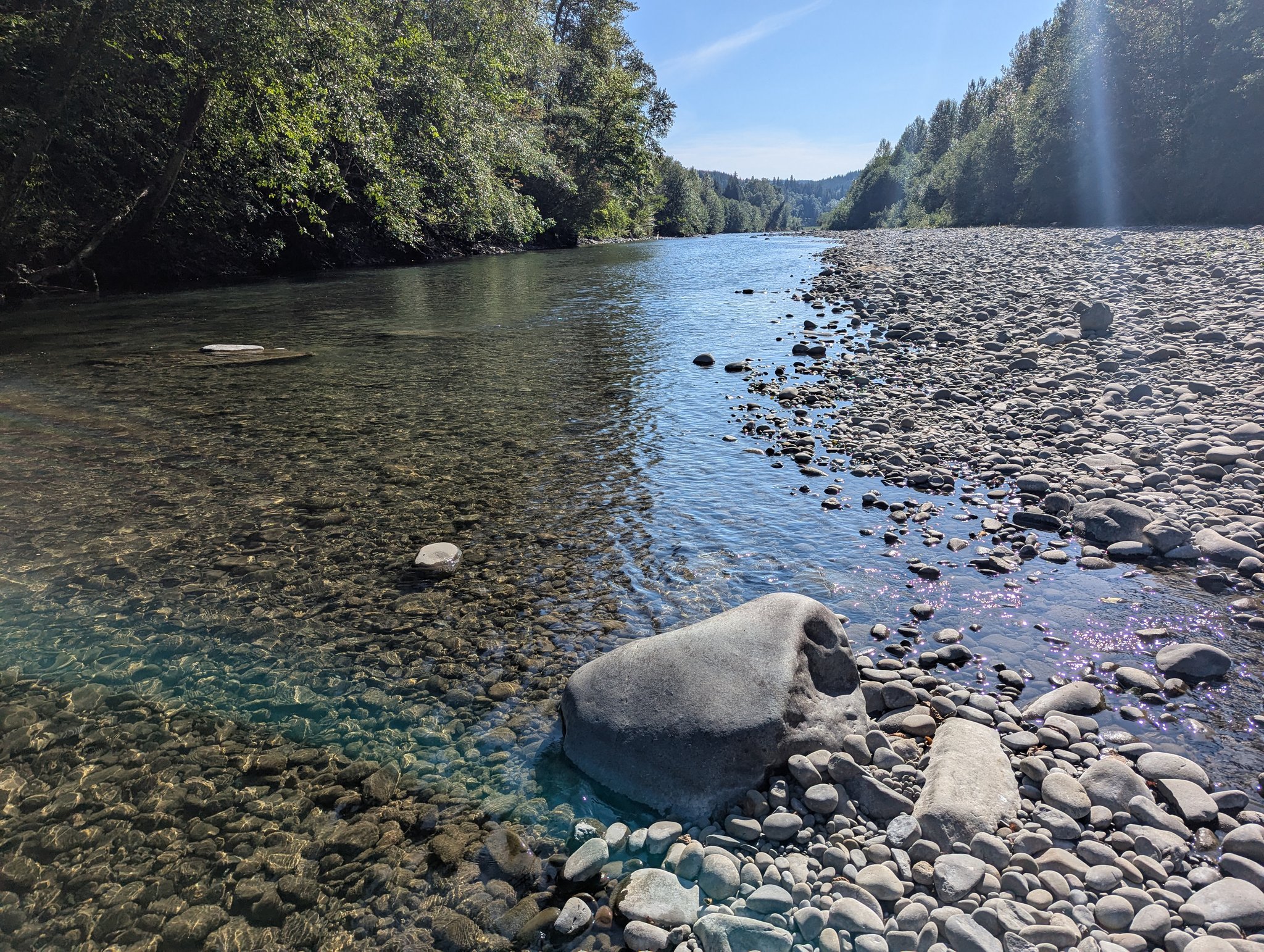 Creek in Bogachiel State Park
