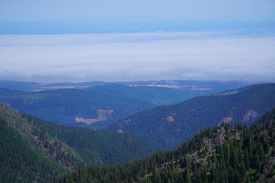 Distant Fog from Hurricane Ridge
