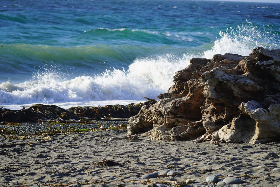 Dungeness National Recreation Area