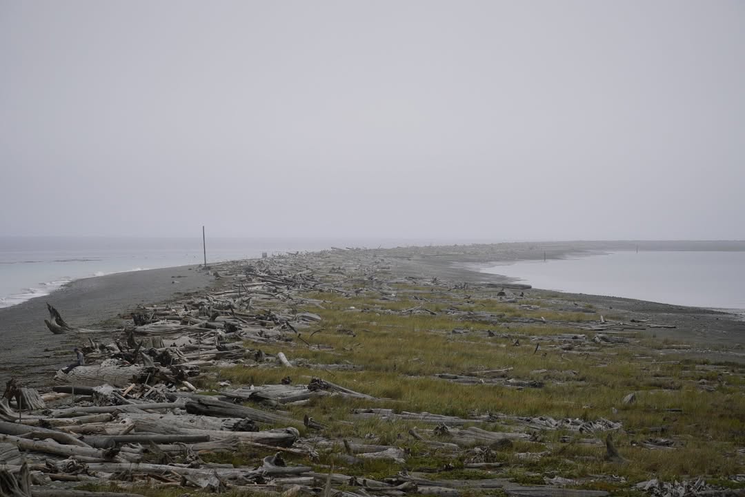 Dungeness Recreation Area