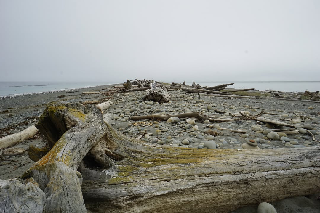 Dungeness Recreation Area