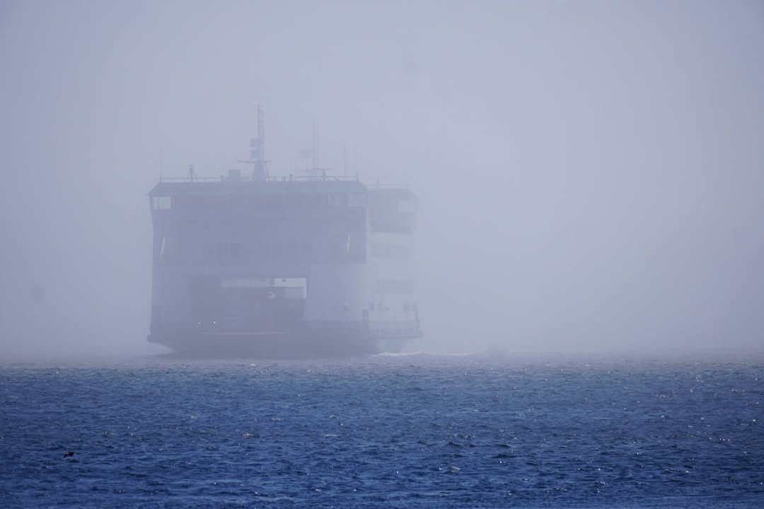 Ferry arriving in the fog in Coupesville