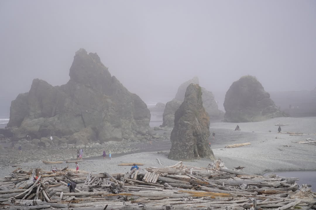 Fog rolling in on Ruby Beach