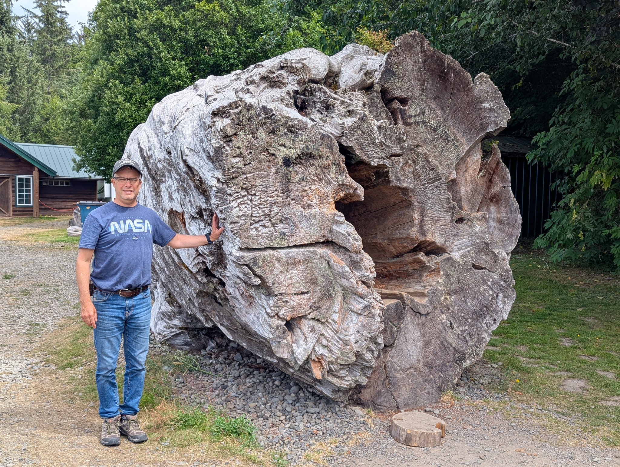 Giant Log Outside Forks Timber Museum