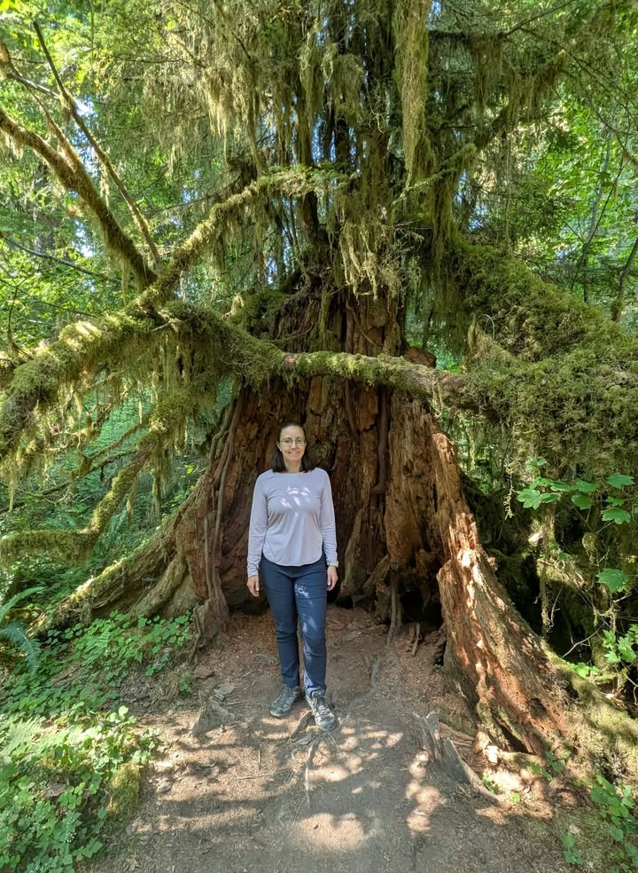 Hoh Rainforest