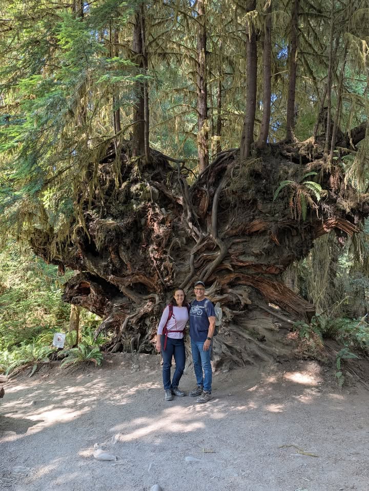 Hoh Rainforest