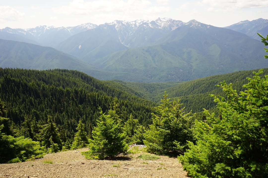 Hurricane Hill Trail