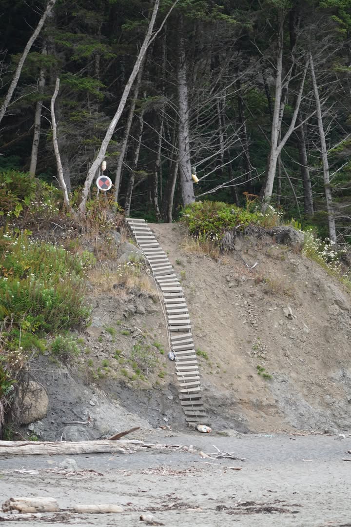 Ladder at Third Beach