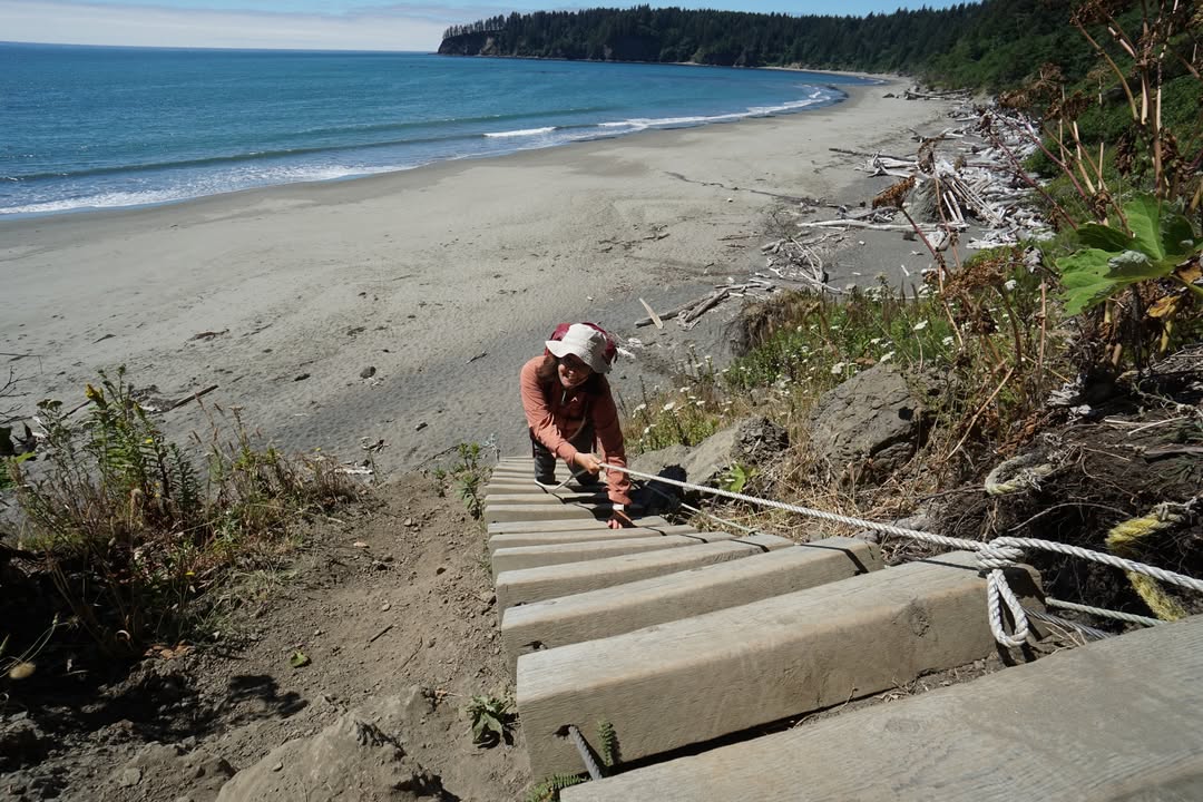 Ladder Descending to Third Beach