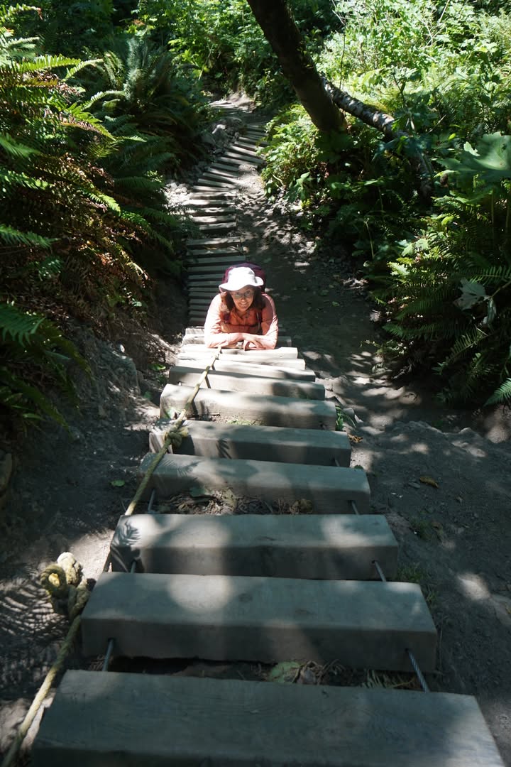 Ladders descending to Third Beach
