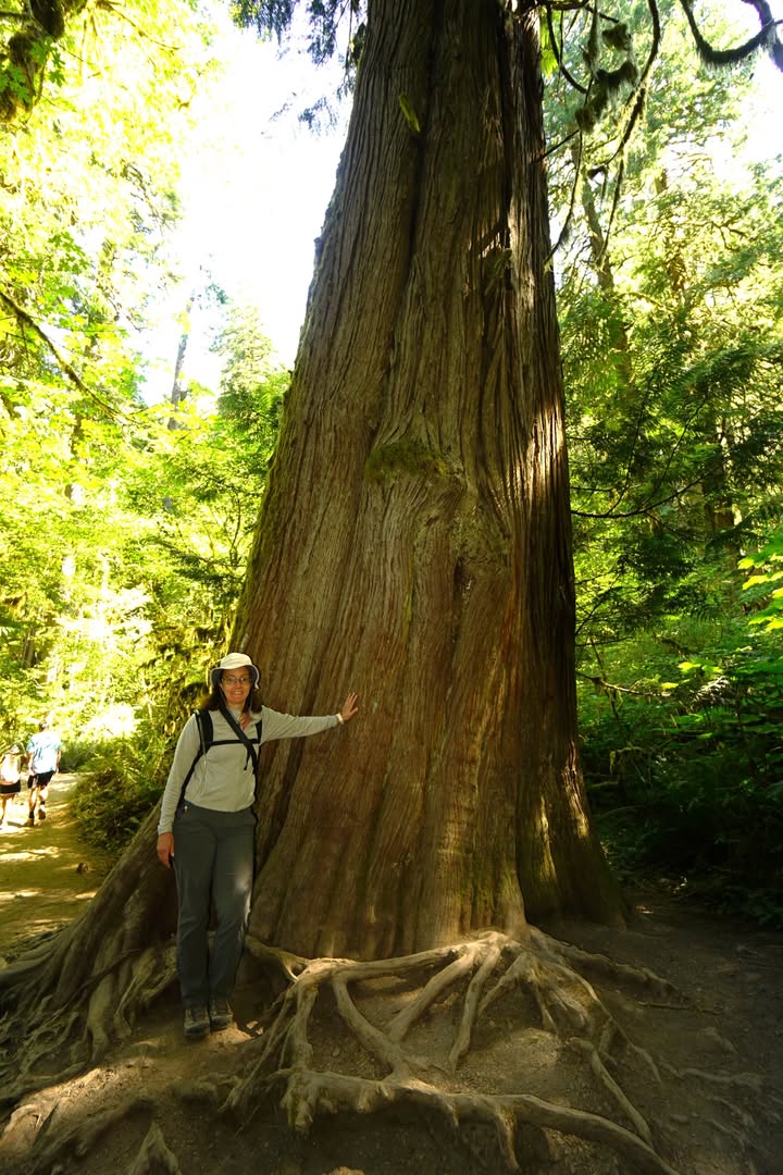 Marymere Falls Trail