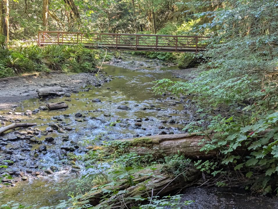 Marymere Falls Trail