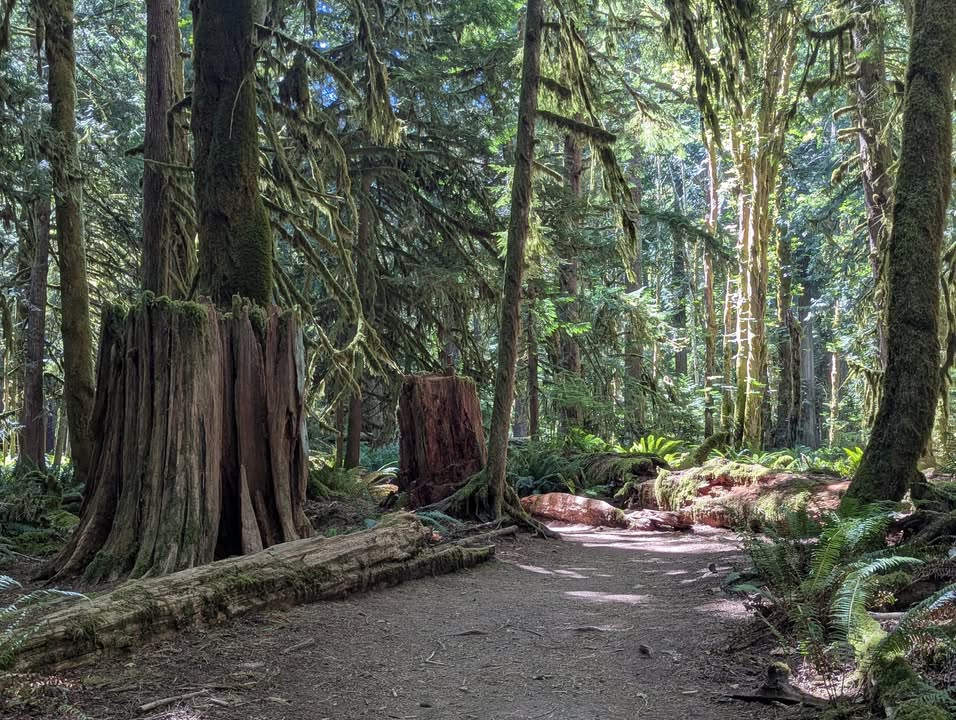 Moments In Time Trail