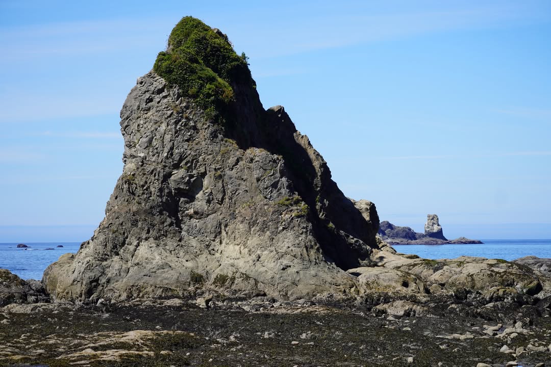 Rialto Beach Outcropping