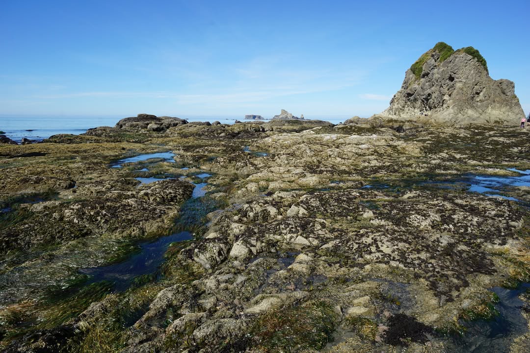 Rialto Beach Tidal Pools