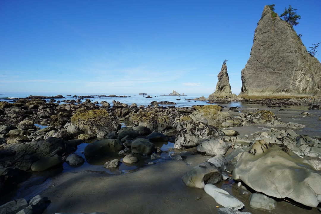 Rialto Beach Views