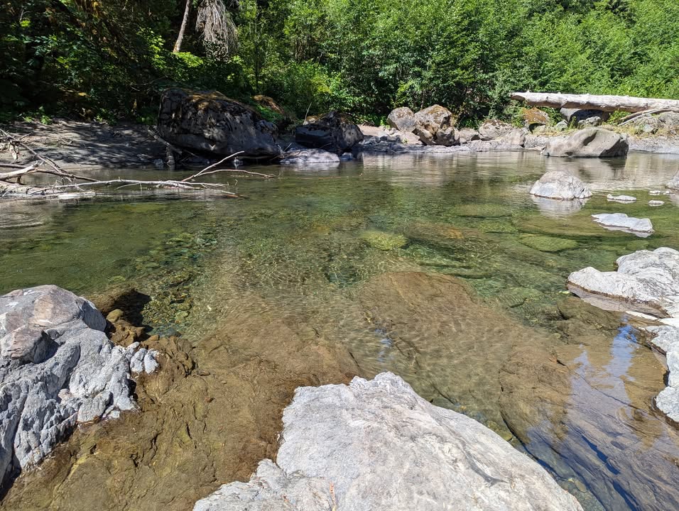 Salmon Exhibit Lunch Spot